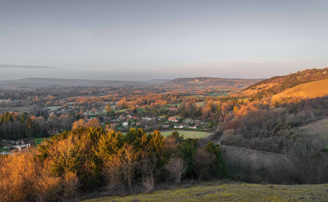MontLeith